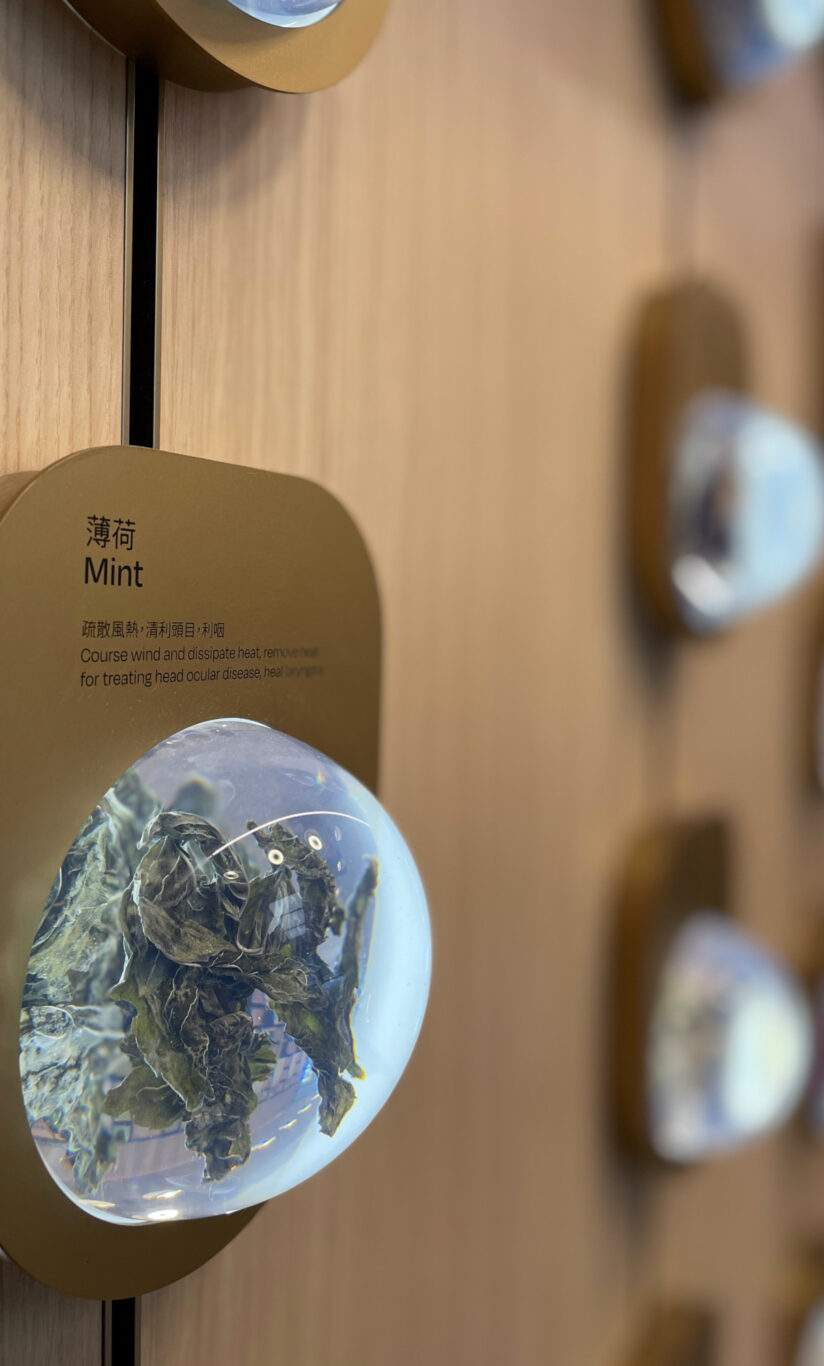 A close-up shot of mint tea leaves in beautiful packaging at the Tea Chateau store, designed by Studio X